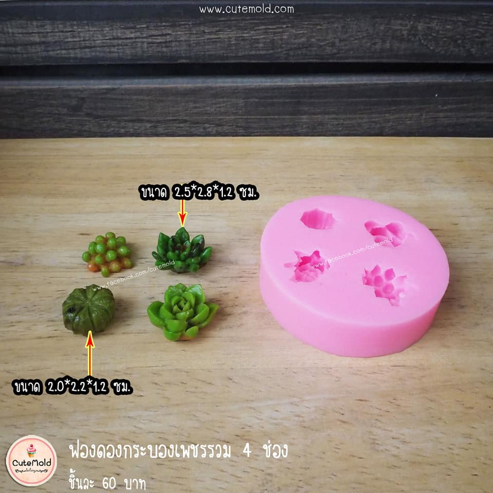 ฟองดองกระบองเพชรรวม 4 ช่อง