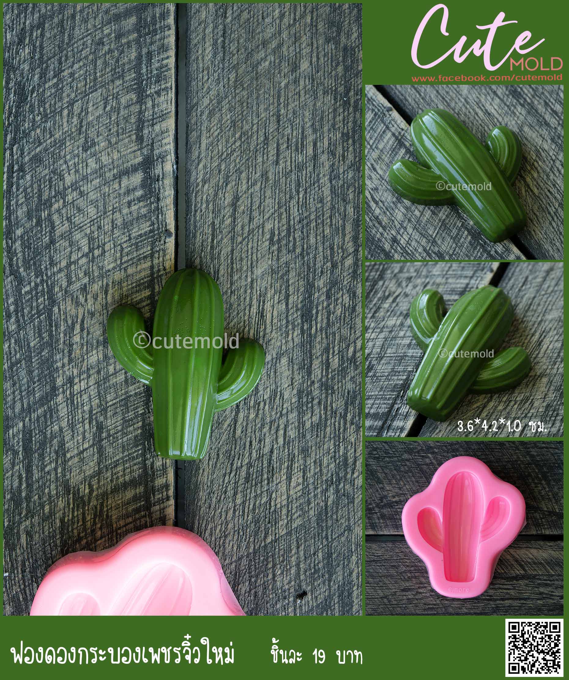 ฟองดองกระบองเพชรจิ๋วใหม่