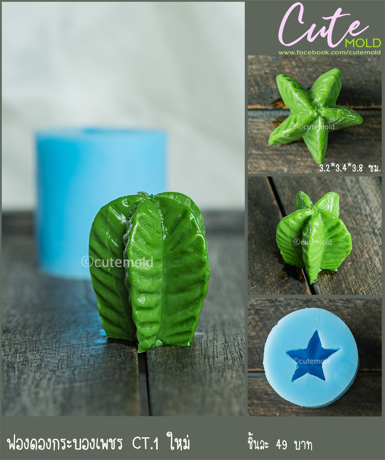 ฟองดองกระบองเพชร CT.1 ใหม่