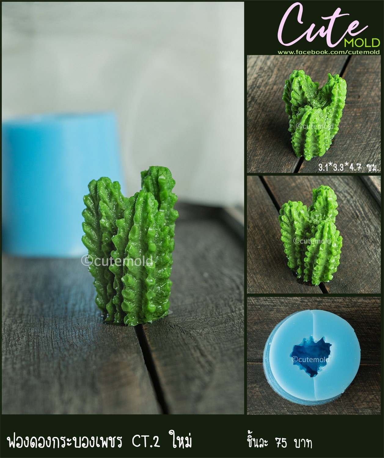 ฟองดองกระบองเพชร CT.2 ใหม่