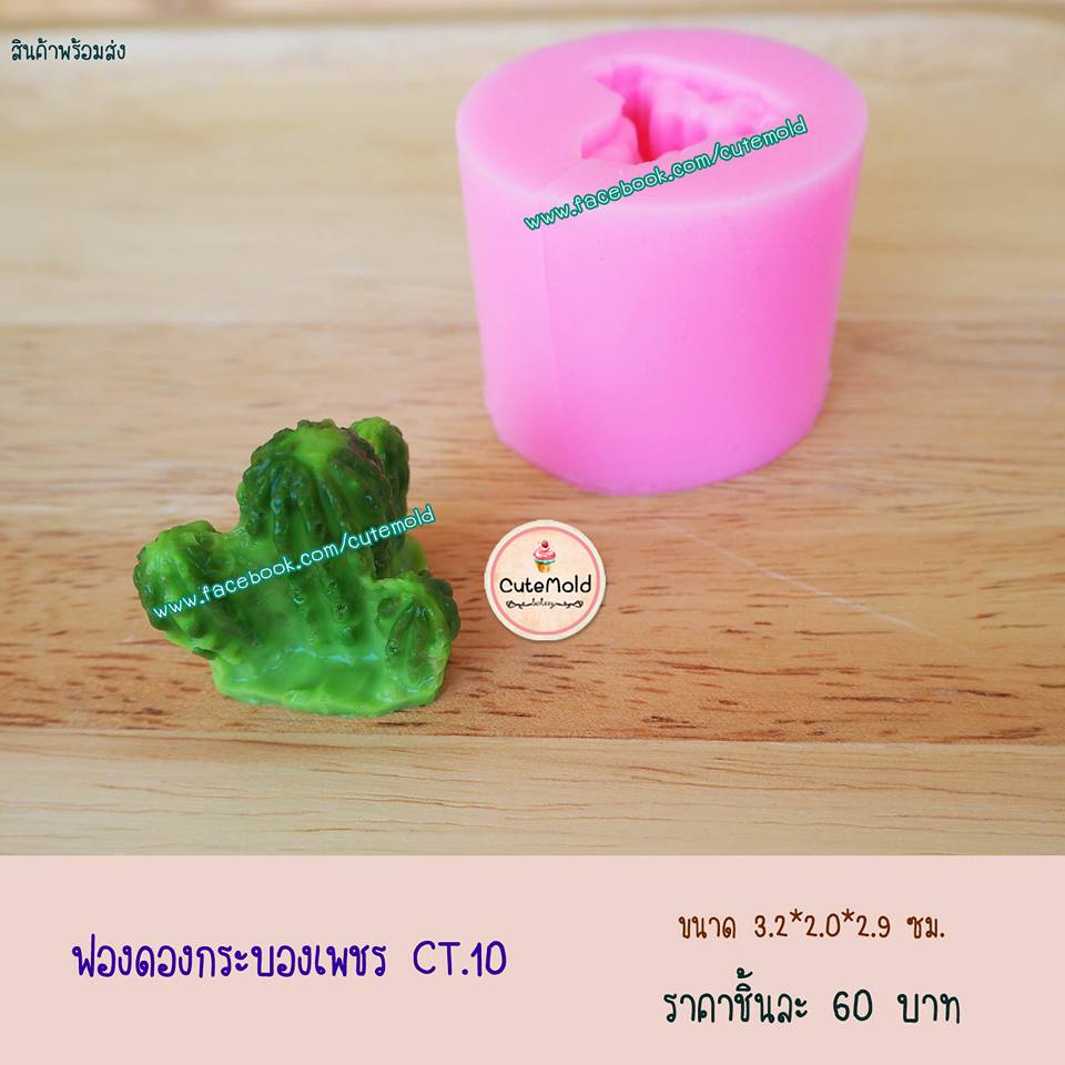 ฟองดองกระบองเพชร CT.10
