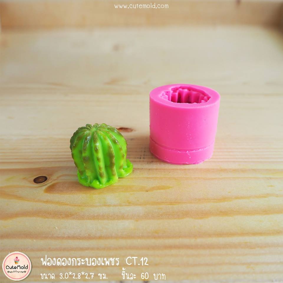 ฟองดองกระบองเพชร CT.12