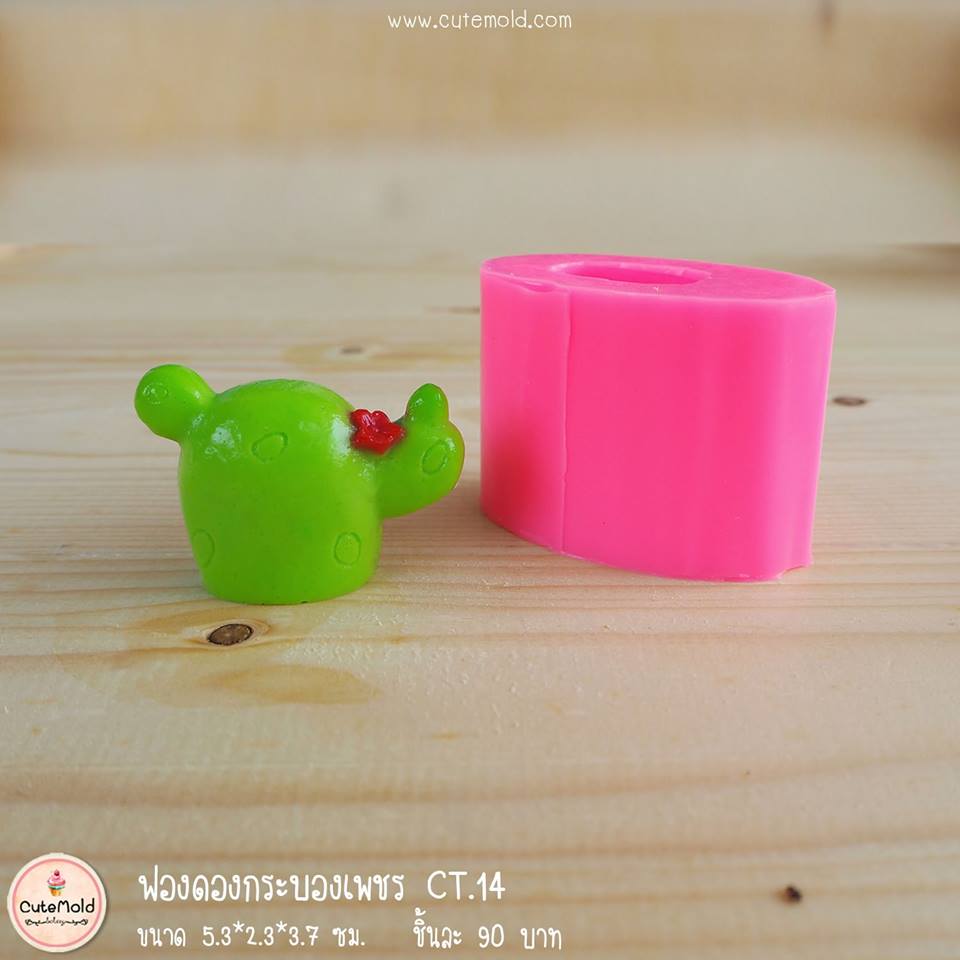 ฟองดองกระบองเพชร CT.14