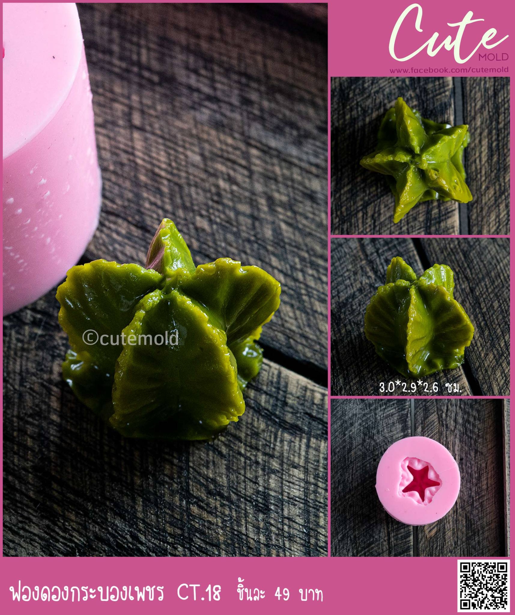 ฟองดองกระบองเพชร CT.18