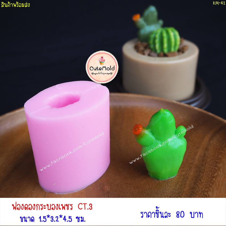ฟองดองกระบองเพชร CT.3