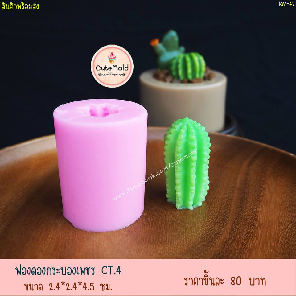 ฟองดองกระบองเพชร CT.4