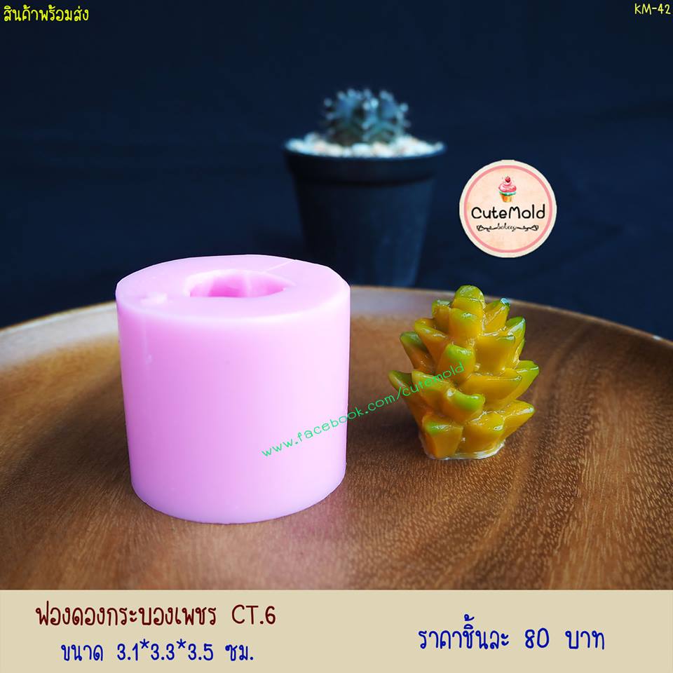 ฟองดองกระบองเพชร CT.6