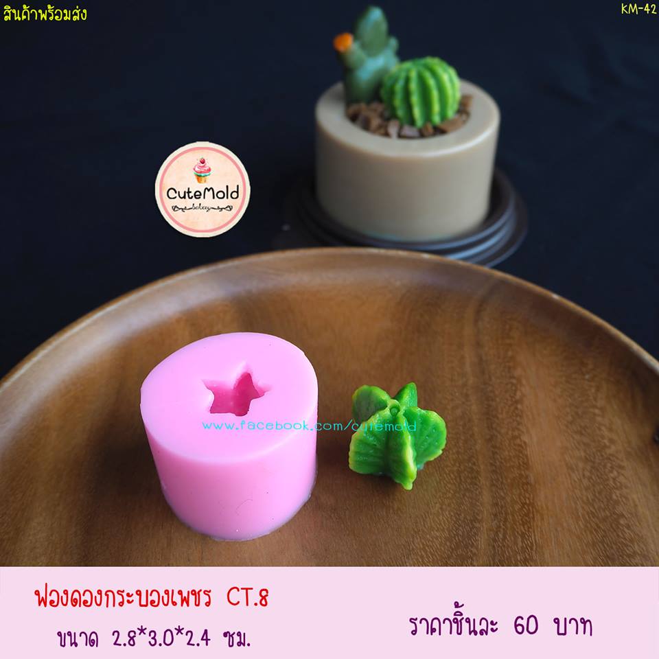 ฟองดองกระบองเพชร CT.8